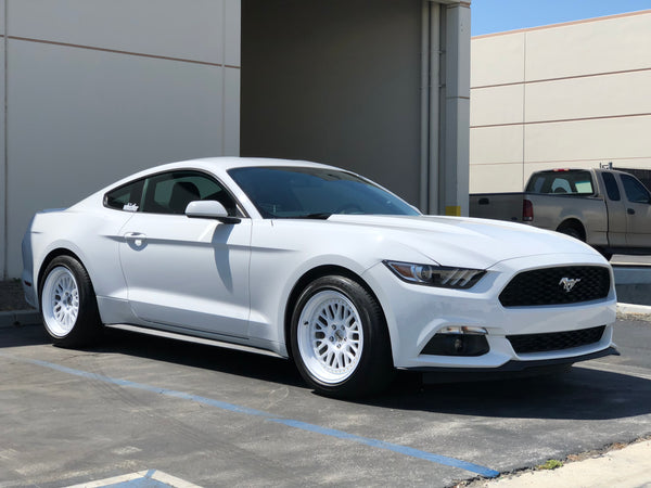 SK1 Full Gloss White